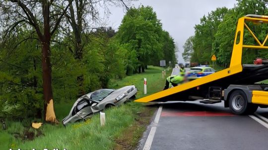 Volvo rozbiło się na drzewie. Badanie kierowcy wiele wyjaśniło
