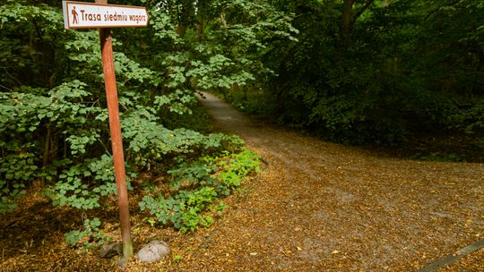 W Gorzowie powstanie nowy park leśny. 93 hektary zieleni dla mieszkańców