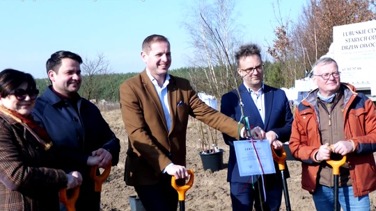 W Kamieniu Małym powstał sad renety landsberskiej