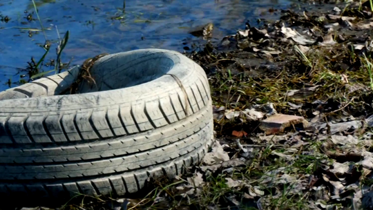 Warto posprzątać nad Wartą