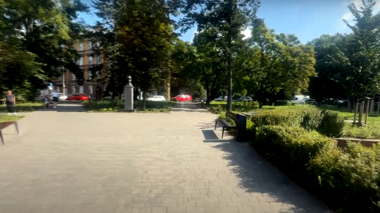 Więcej zieleni na ulicach Gorzowa