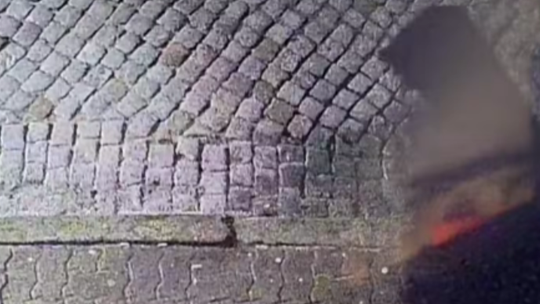 Wieczorny incydent w gorzowskim lokalu wzbudza emocje