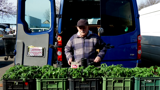 Wiosenne ożywienie na gorzowskim rynku hurtowym