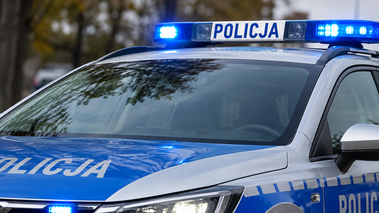 Wszystko wydarzyło się jednego dnia. Policjanci ruszyli do działania