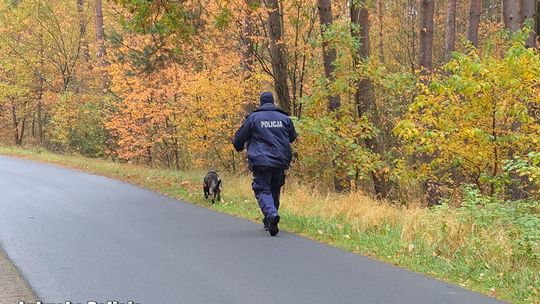 Wyszedł z domu i ślad po nim zaginął. Trwa wielka akcja poszukiwawcza w Lubuskiem