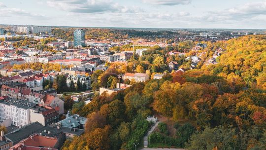 Wzrost bezrobocia we wrześniu. Sprawdzamy dane dla miasta i powiatu