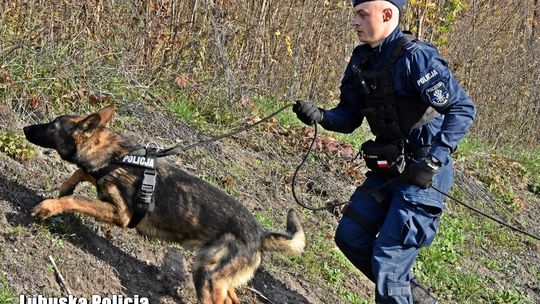 Zaginął i przez wiele godzin nie było z nim kontaktu. Finał akcji tuż przed zmrokiem