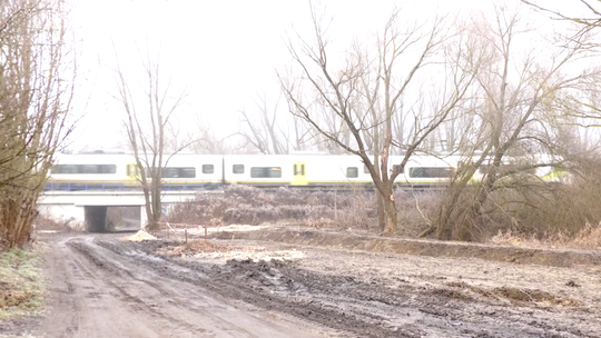 Zagospodarowanie wód opadowych na terenie Gorzowa