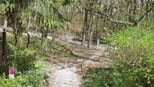 Zmiany w jednym z parków w Gorzowie. Miasto ogłosiło przetarg Zmiany w jednym z parków w Gorzowie. Miasto ogłosiło przetarg