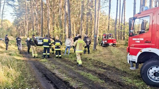 Zniknął po wyprawie na grzyby. Intensywna akcja służb