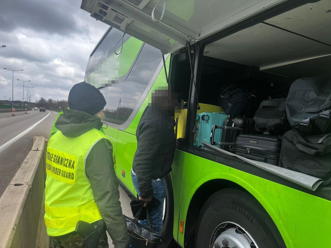 215 cudzoziemców musiało opuścić Polskę. Straż Graniczna podała najnowsze dane