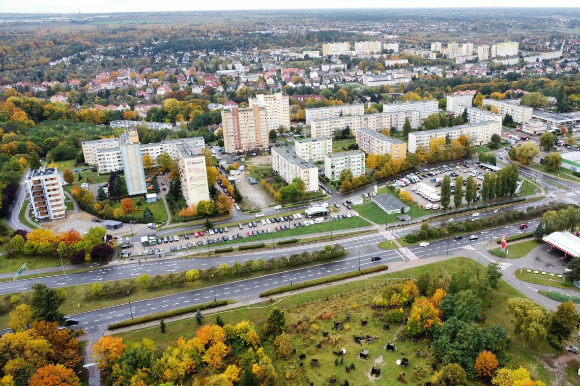 Alarmujący wzrost oszustw w Gorzowie