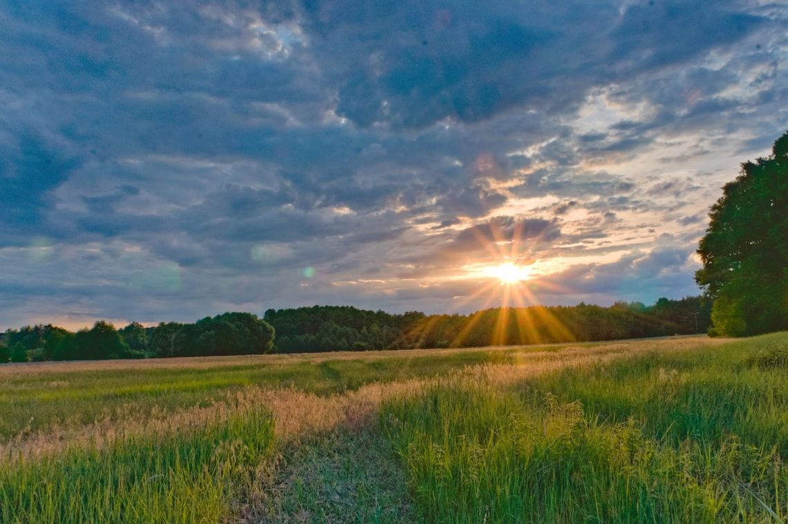Alert drugiego stopnia dla regionu. Mieszkańcy powinni zmienić plany