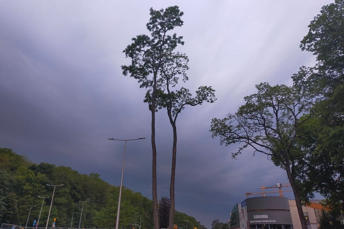 ALERT RCB! Będą burze i silny wiatr