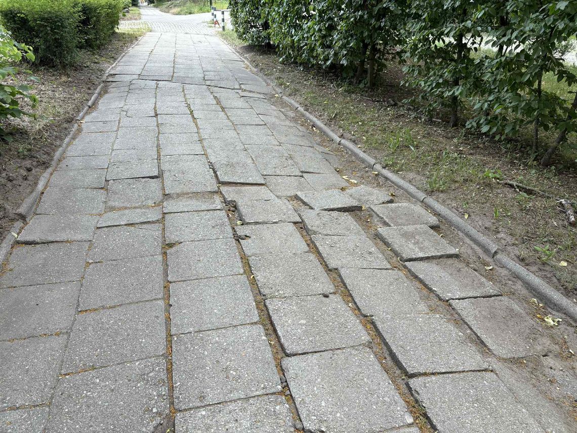 Chodnik jak pole minowe. Mieszkańcy obawiają się o zdrowie