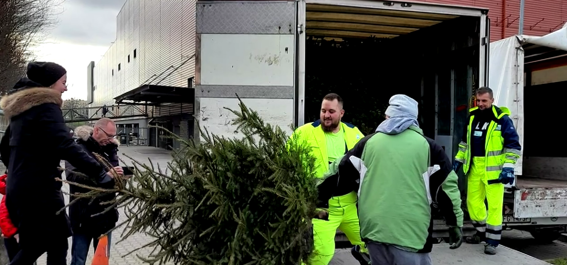 Co zrobić z choinką po świętach? Sprawdź terminy odbioru Co zrobić z choinką po świętach? Sprawdź terminy odbioru