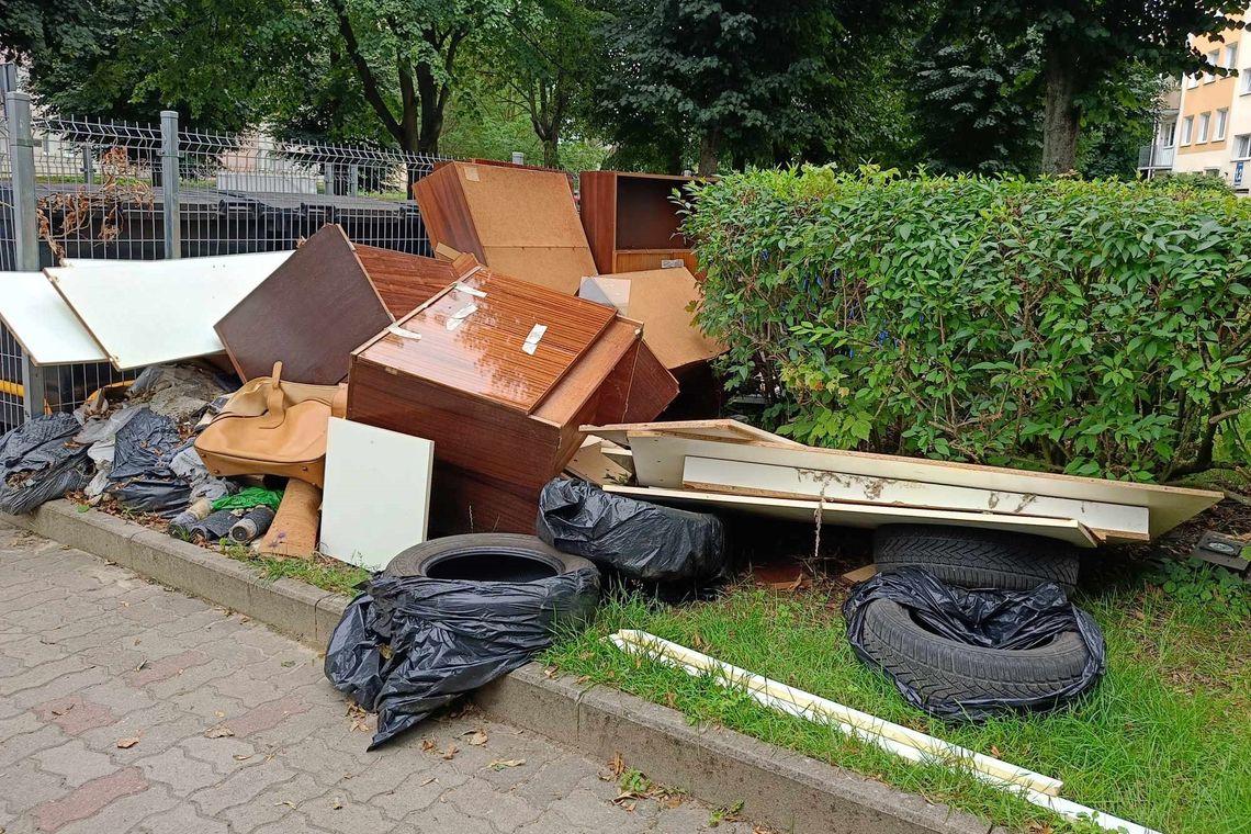 Czystość w Gorzowie. Jaki jest największy problem?