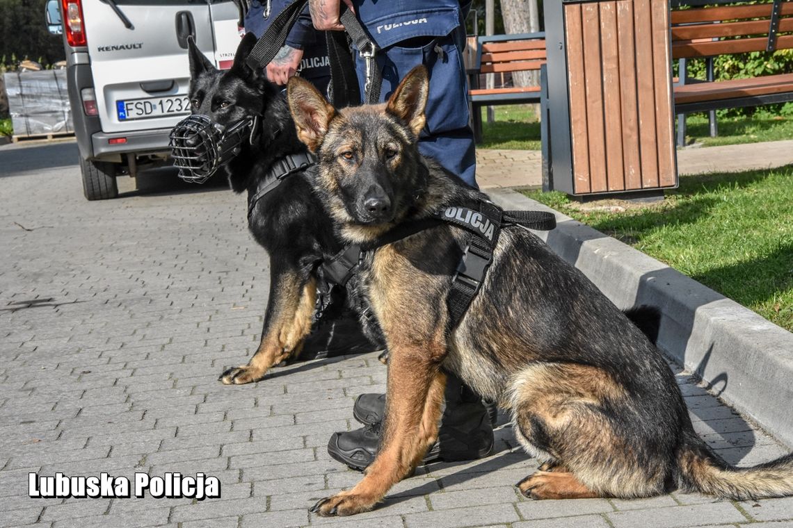 Do strzeleckiej policji dołączył Cerber!