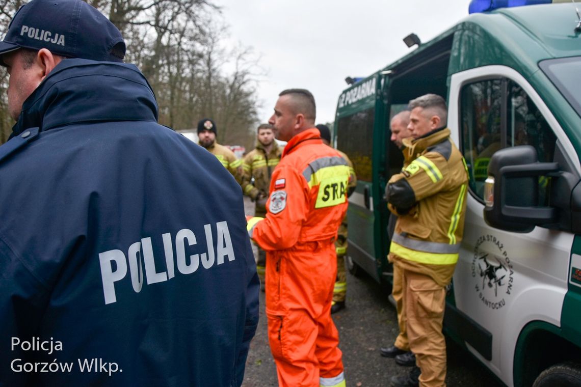 Drony, quady i psy tropiące. Zakrojona na szeroką skalę akcja pod Gorzowem