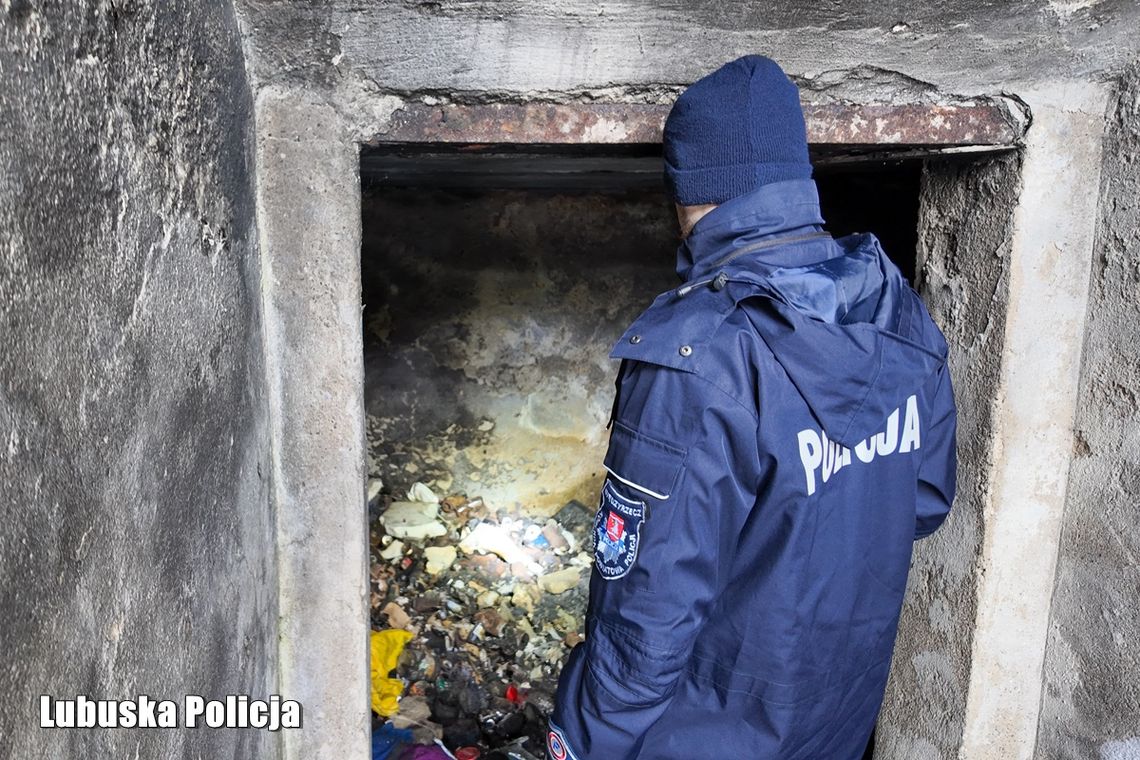 Gdy temperatura spada, liczy się każda reakcja Gdy temperatura spada, liczy się każda reakcja