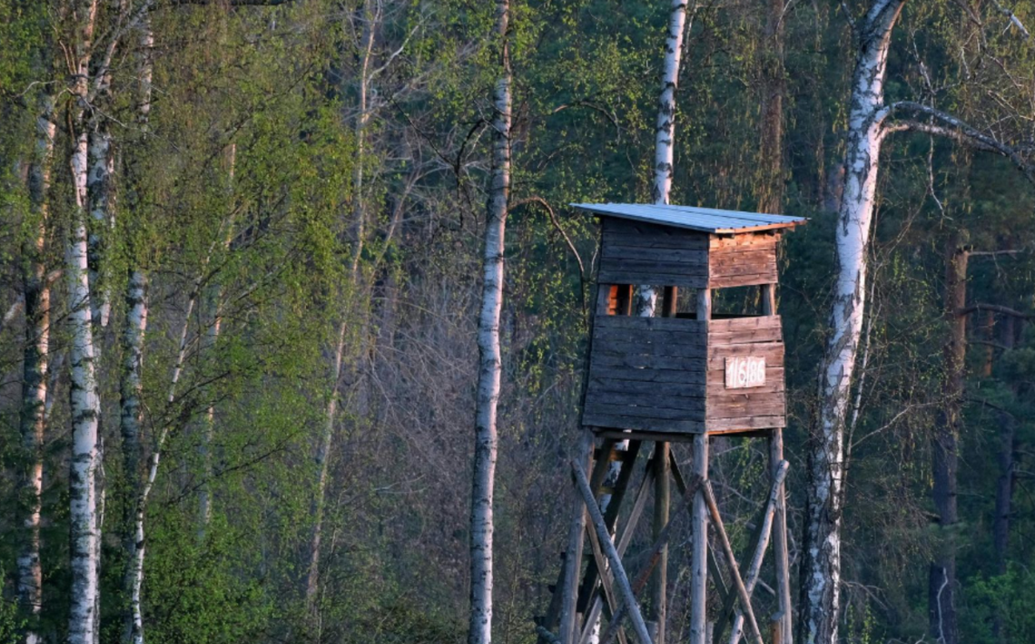 Gmina Santok informuje o planowanych działaniach w lasach. Podano terminy Gmina Santok informuje o planowanych działaniach w lasach. Podano terminy