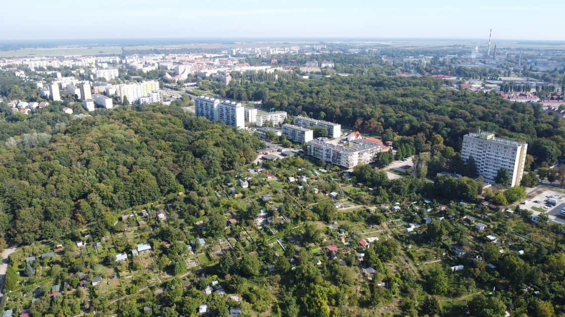 Gorzów doczeka się kolejnej zielonej inwazji