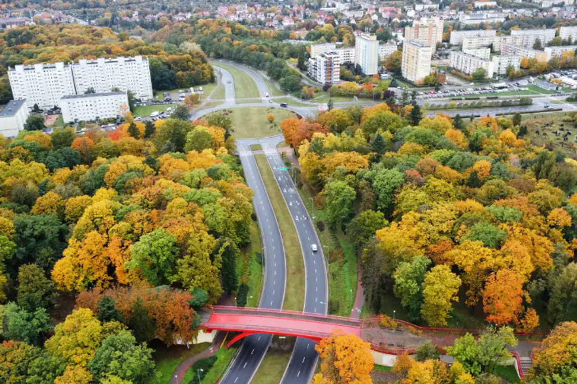 Gorzów. Niebezpieczny incydent w gorzowskim parku