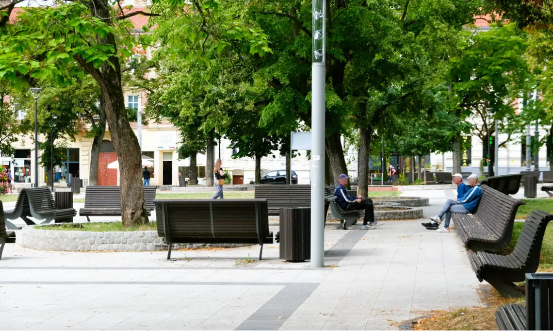 Gorzów. Niepokojące zjawisko na popularnym placu