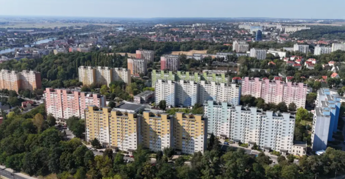 Gorzów. Nieproszeni goście na klatkach schodowych