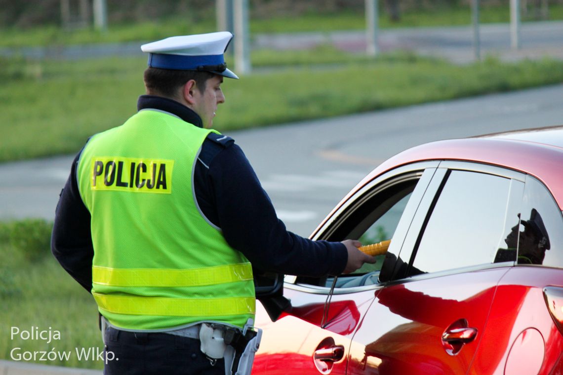 Gorzów: poranne kontrole kierowców. Dwie osoby straciły prawa jazdy