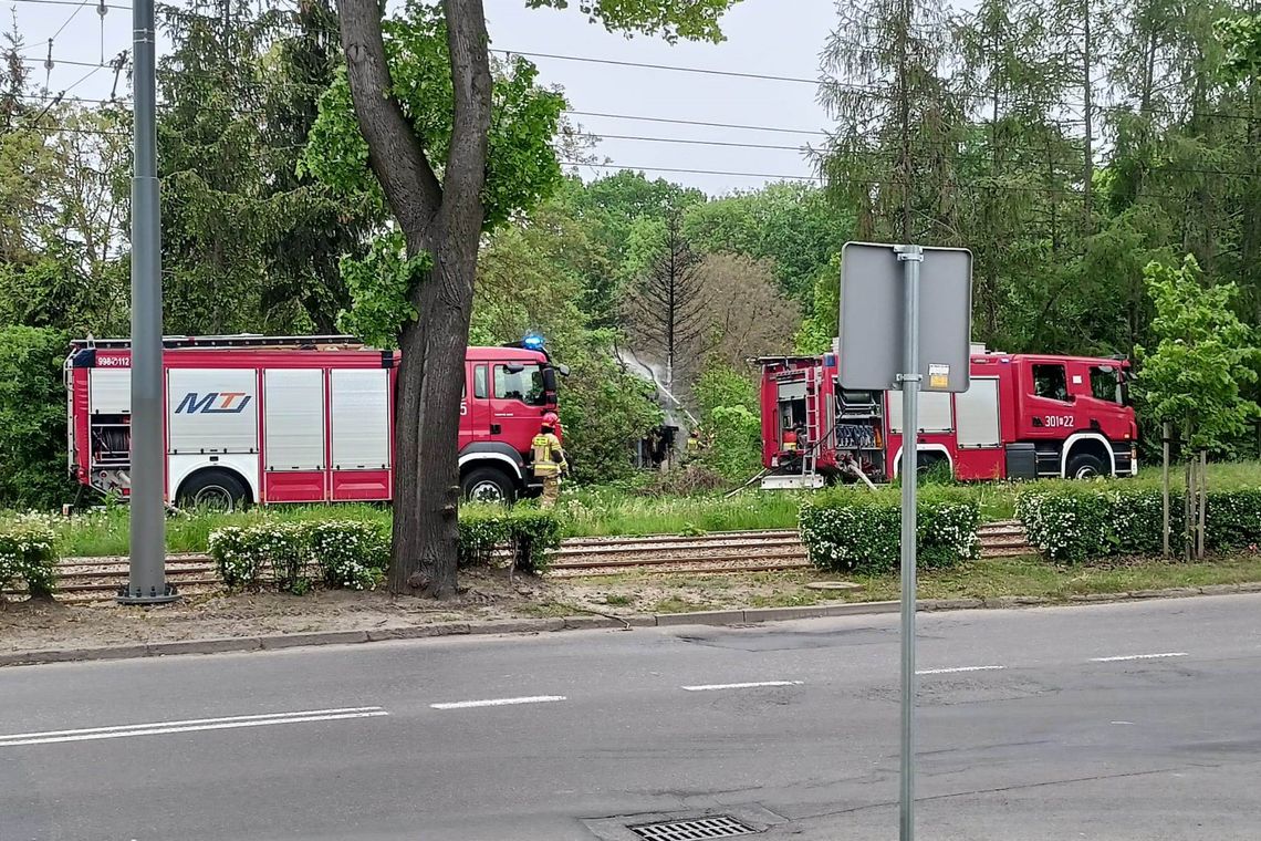 Gorzów. Pożar na działkach ogrodowych