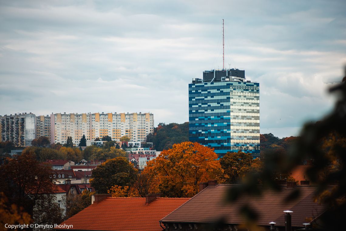 Gorzów uznany za najbezpieczniejsze miasto w Polsce dla pieszych