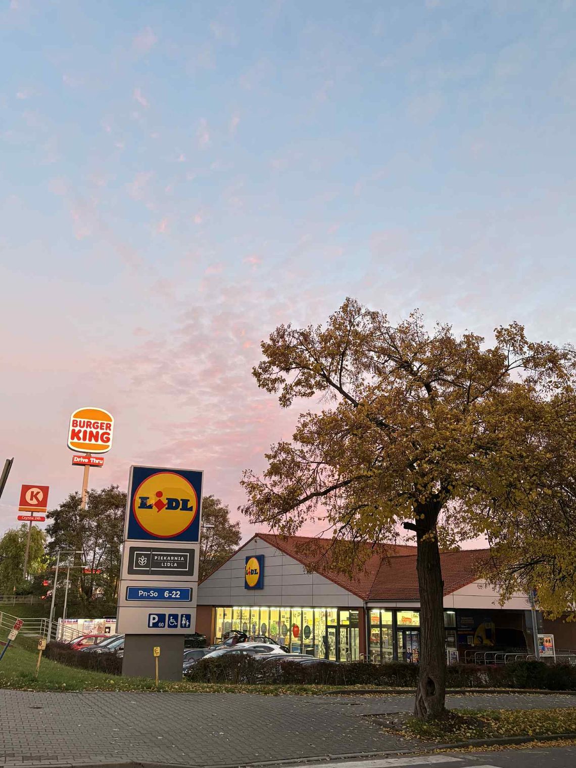 Groźna bakteria w żywności. Ruszyło wycofywanie partii ze sklepów Groźna bakteria w żywności. Ruszyło wycofywanie partii ze sklepów