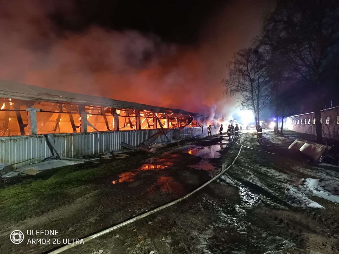 Groźny pożar w Gliniku! Ogień objął cały kurnik, trwa akcja strażaków