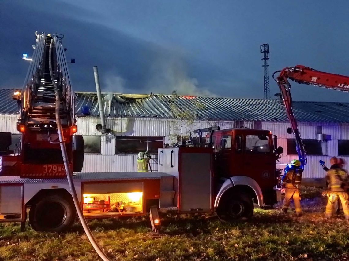 Groźny pożar w Lubuskiem. Na miejsce skierowano dziewięć zastępów straży pożarnej Groźny pożar w Lubuskiem. Na miejsce skierowano dziewięć zastępów straży pożarnej