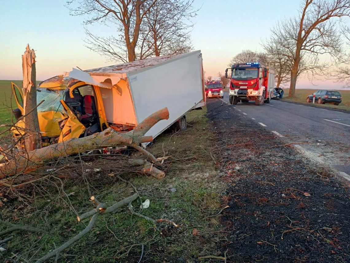 Groźny wypadek. Dostawcze auto roztrzaskało się o drzewo