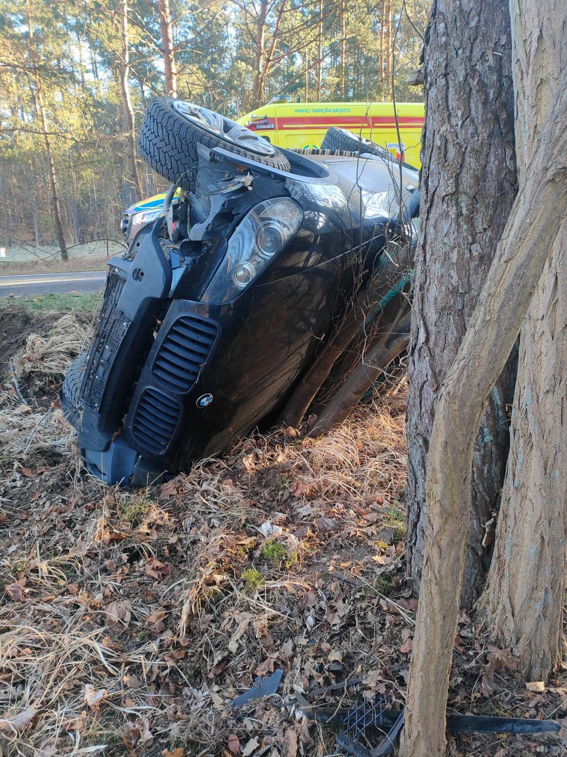 Groźny wypadek na trasie. Auto dachowało i uderzyło w drzewo