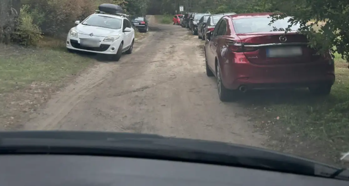 Grzybiarze w okolicach Gorzowa parkują, gdzie popadnie