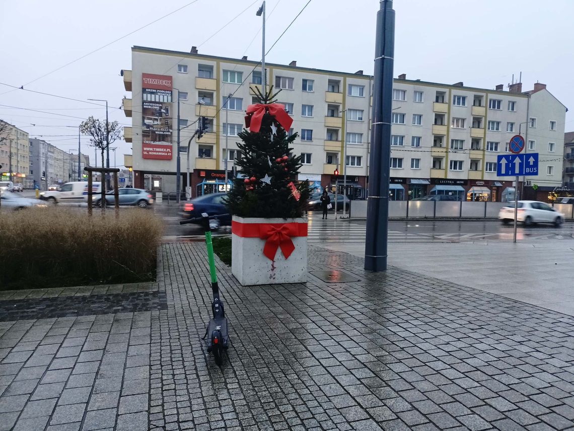 Harmonogram odbioru choinek na terenie Gorzowa i okolicznych miejscowości