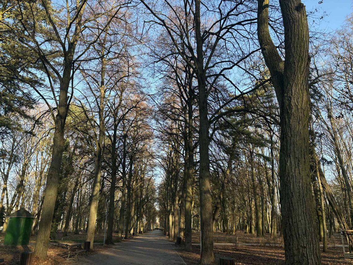 Huk w gorzowskim parku. Zakaz złamany mimo ostrzeżeń