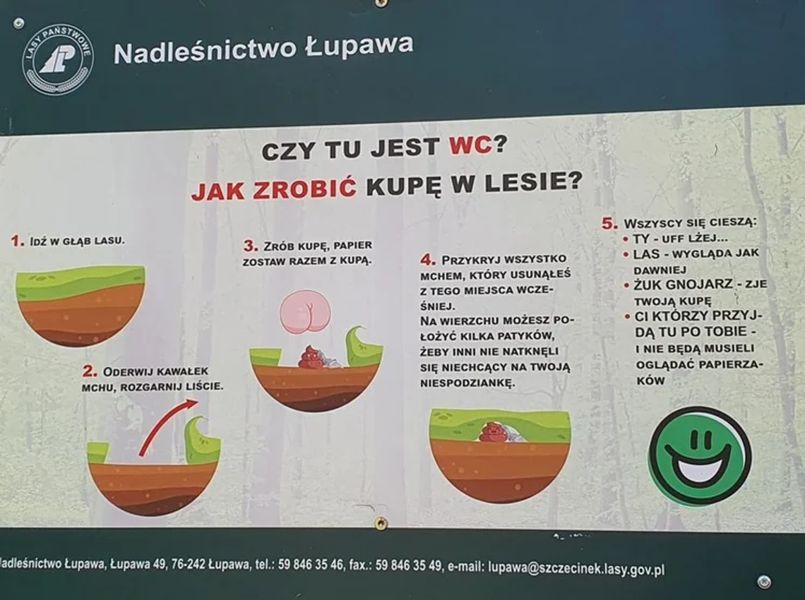 Jak zrobić w lesie kupę? Lasy Państwowe dały instrukcję