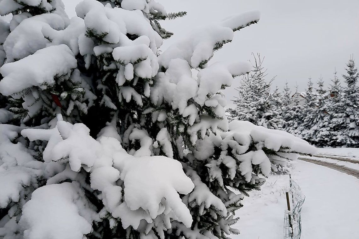 Jaka pogoda czeka nas w najbliższy weekend?