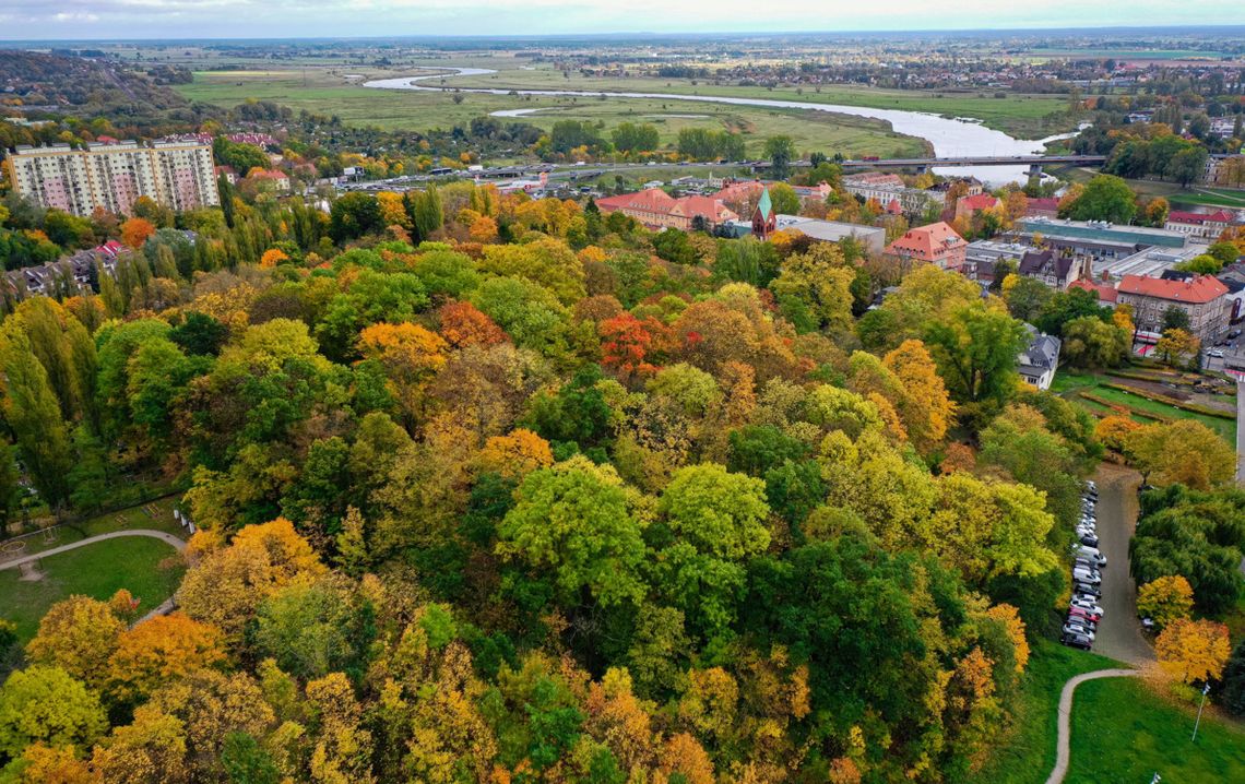 Jesienią Gorzów zacznie się zmieniać. Prace ruszą już wkrótce Jesienią Gorzów zacznie się zmieniać. Prace ruszą już wkrótce