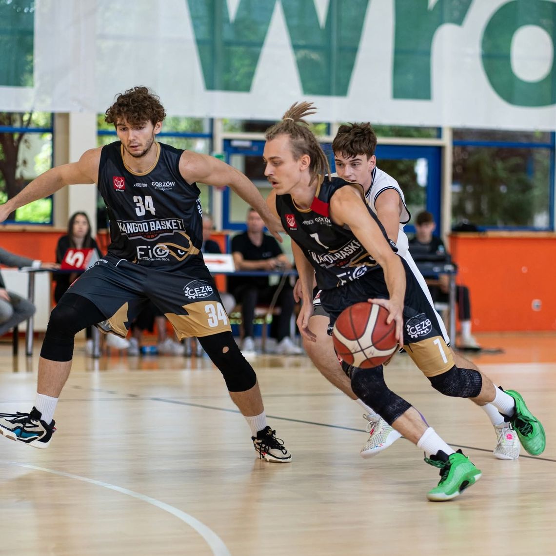 Kangury wracają na Warszawską Kangury wracają na Warszawską