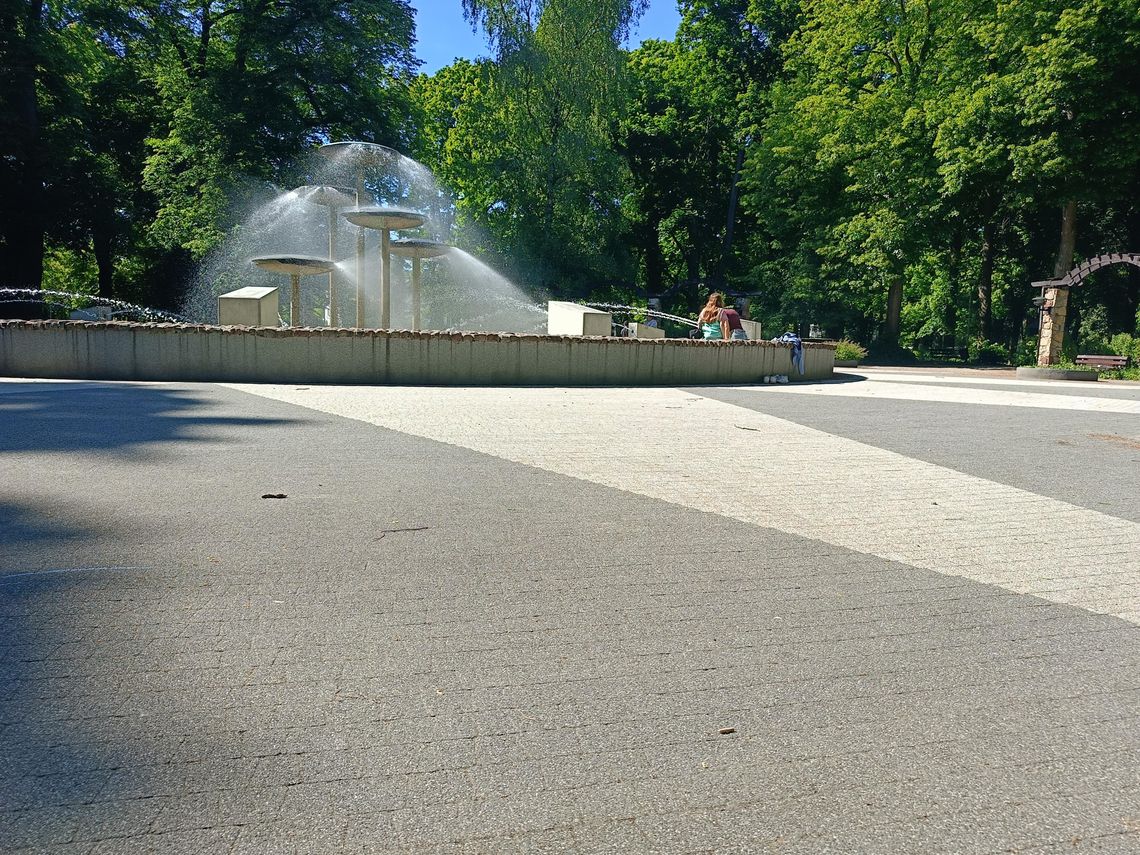 Kąpiel w fontannie może skończyć się chorobą. Dzieci weszły do wody w parku Kopernika