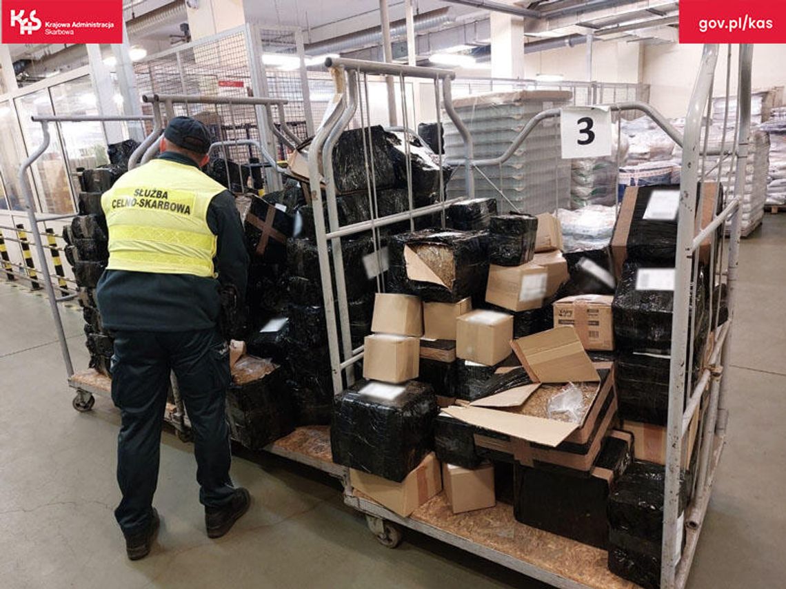 KAS rozbija tytoniowy przemyt paczkowy w Lubuskiem. 47 kg nielegalnego towaru zatrzymane