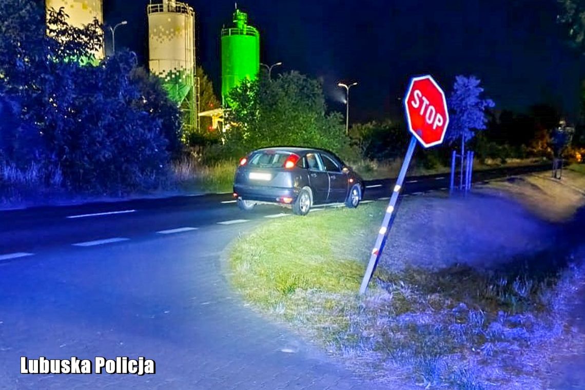 Kierowała po pijaku, jechała jak wariatka. Teraz grozi jej więzienie