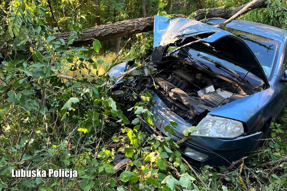 Kierowca z ponad dwoma promilami alkoholu przewoził dzieci