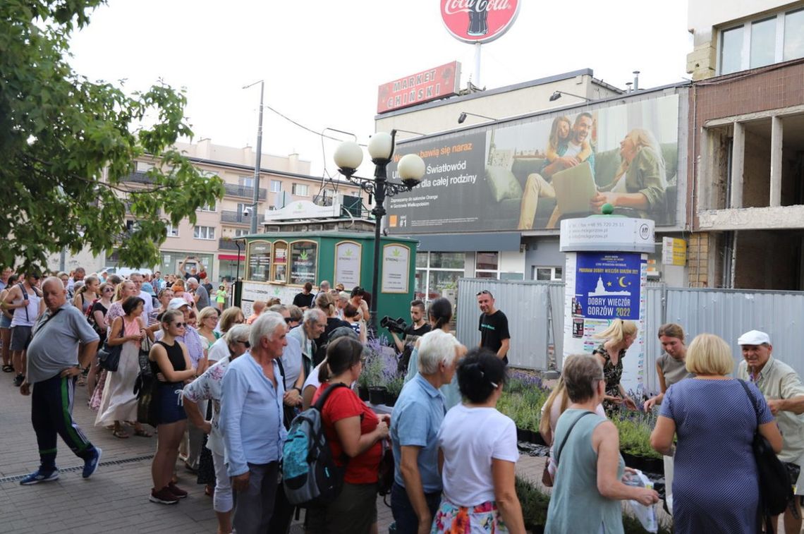 Kolejka po miododajne rośliny