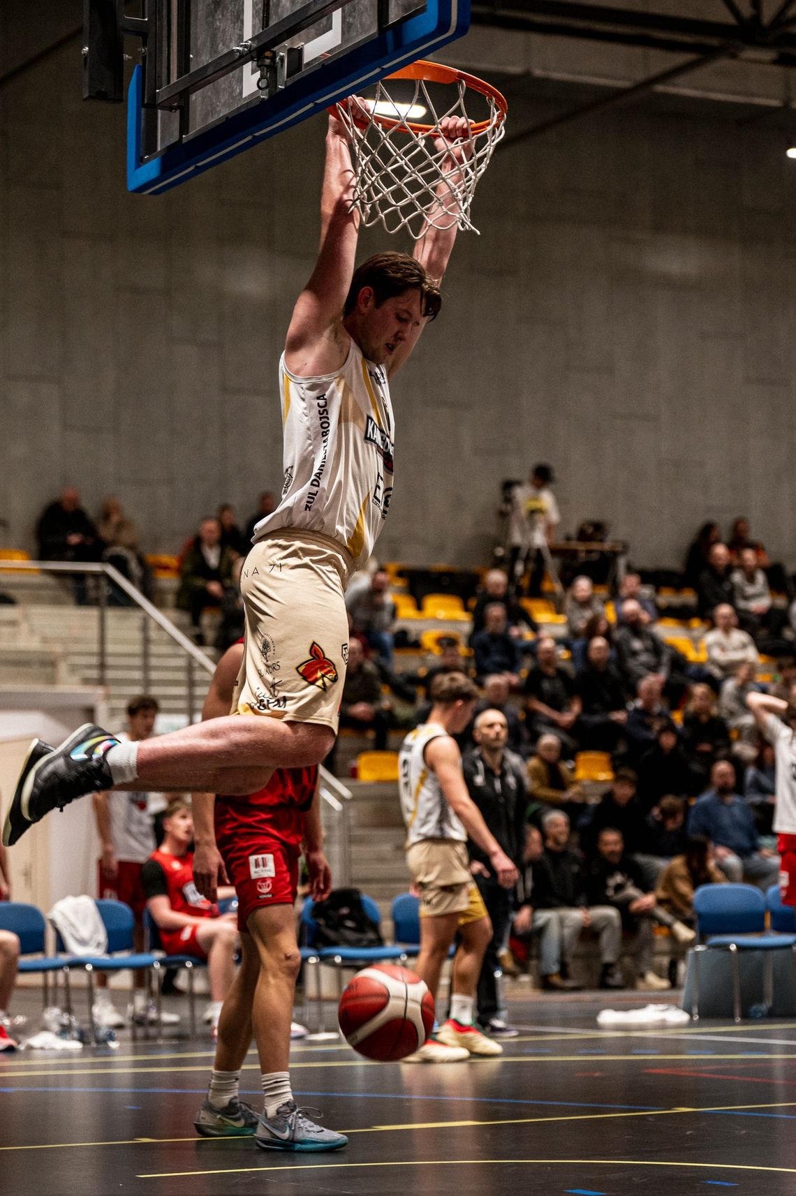 Koncert Kangurów we Wrocławiu!